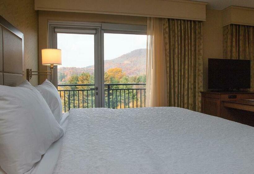Студио Стандарт Кровать Кинг, Hampton Inn & Suites Boone
