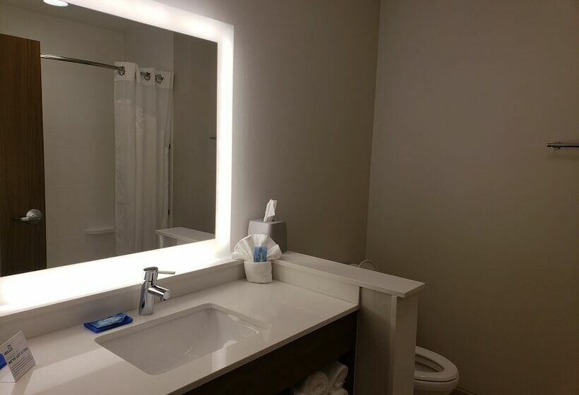 Люкс, Holiday Inn Express & Suites   Brigham City   North Utah, An Ihg