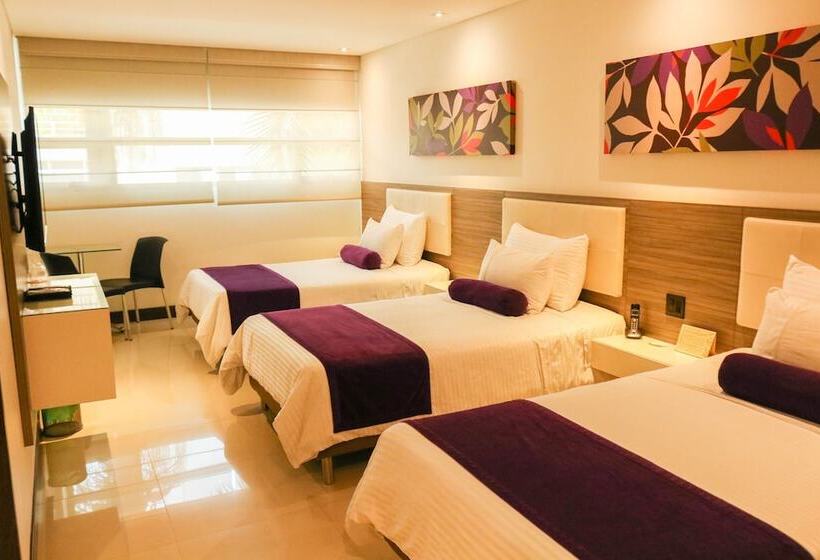 Quarto Triplo Estandar, Loyds