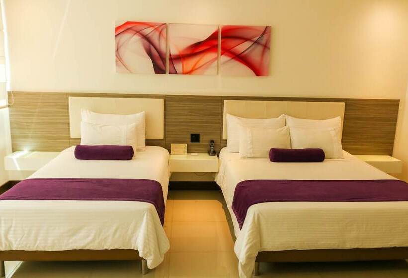 Quarto Estandar, Loyds