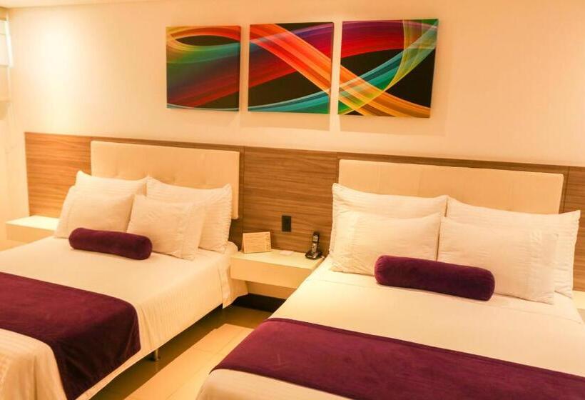 Quarto Estandar, Loyds