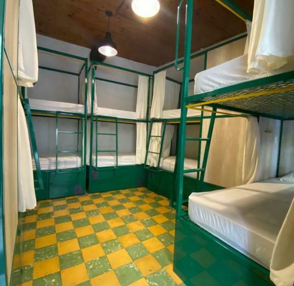 공용 욕실 구비 공동 객실 내의 침대, Viajero Hostel Cali & Salsa School
