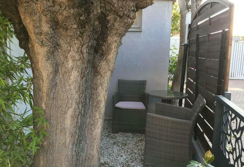 اتاق استاندارد اینتریور, Hôtel Eden Cassis   Parking Privé