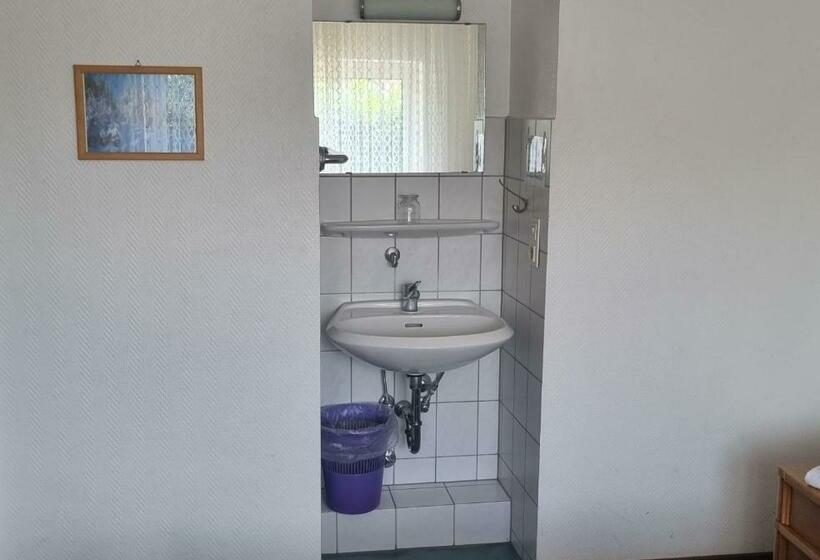 エコノミールーム, Schwung