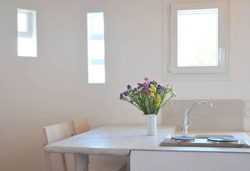 Standard Studio, Alexandros Mykonos