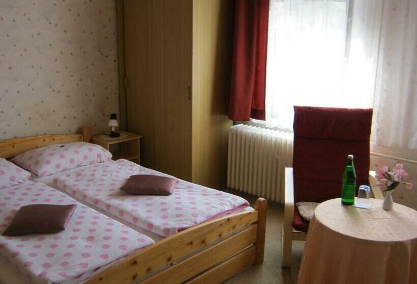 חדר בסיסי, Ferienhotel Waldfrieden