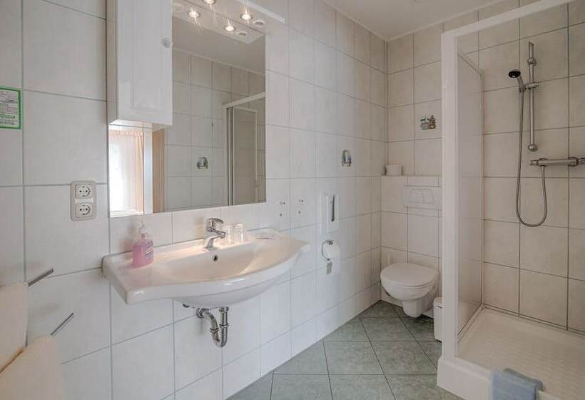 标准间, Elbterrassen Zu Brambach