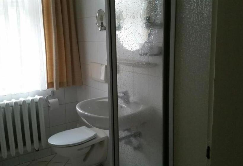 Люкс, Landhotel Wettin