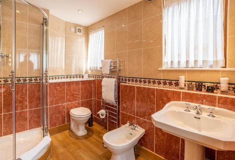اتاق استاندارد با تخت بزرگ, The Town House Ludlow