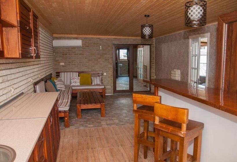 آپارتمان سوپریور 1 خوابه, Paliashvili
