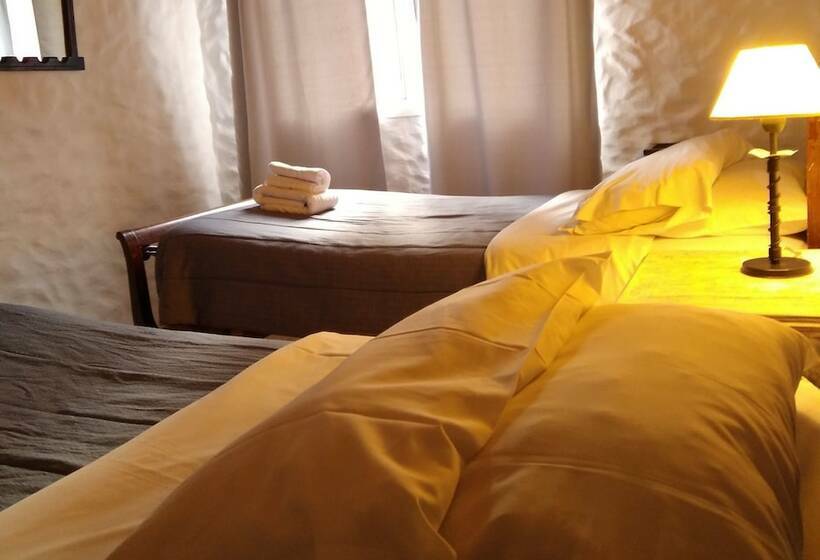 اتاق استاندارد یک نفره, Hostal Schilling