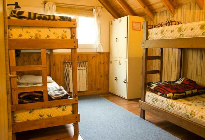 מיטה בחדר משותף, Patagonia Hostel