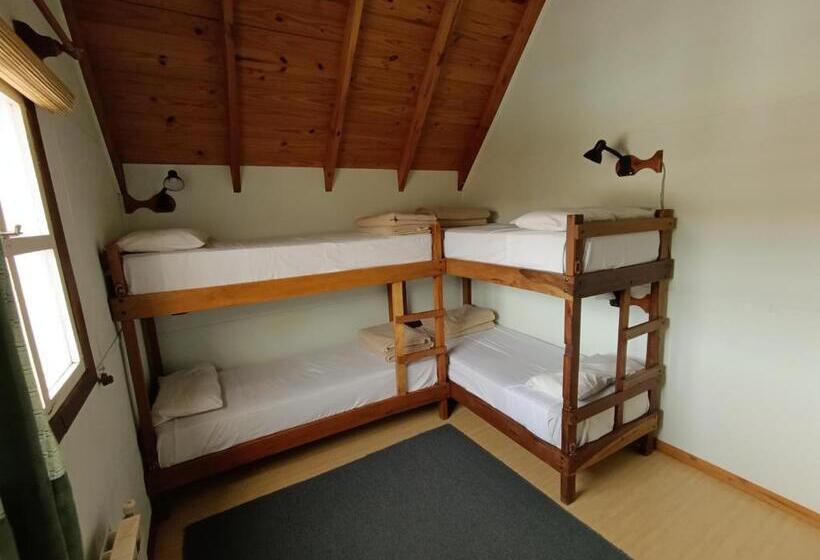 מיטה בחדר משותף, Patagonia Hostel
