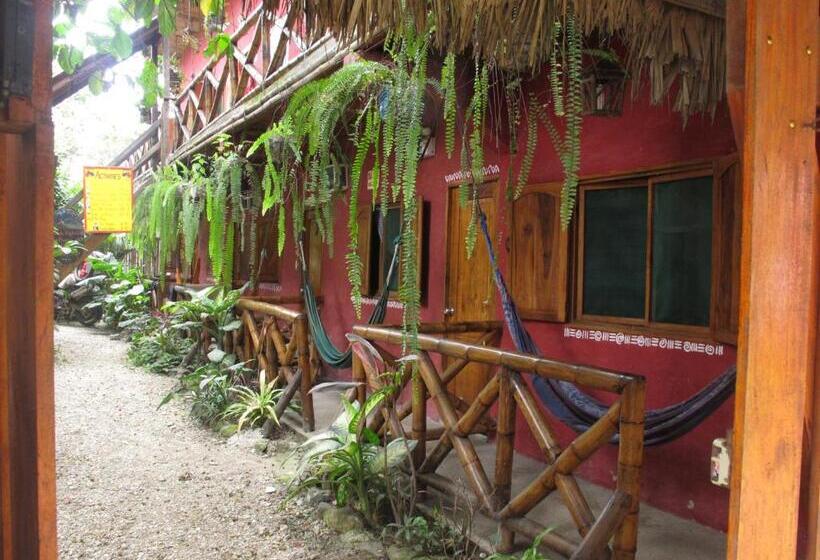 스탠다드 발코니 룸, Hostal Mamacucha