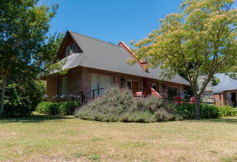 بانگلوی استاندارد, Brisas Serranas