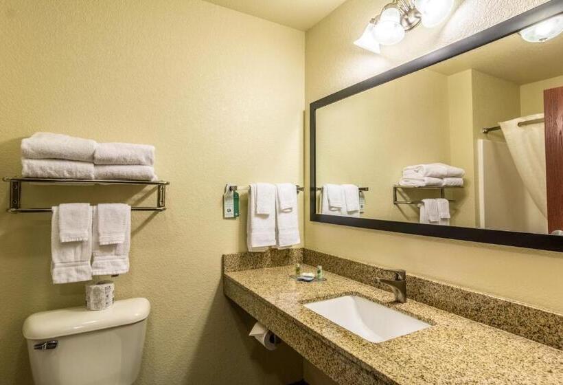 스탠다드 싱글 룸, Cobblestone Hotel & Suites – Devils Lake