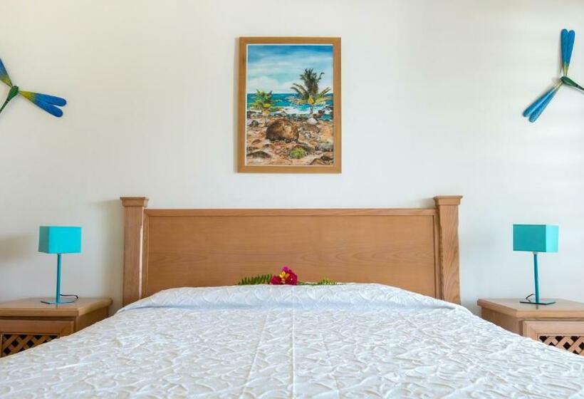 استودیوی استاندارد اینتریور, Residence Les Cayalines