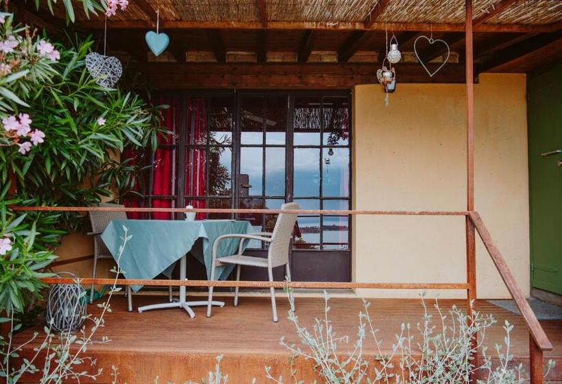 استودیوی استاندارد, Villa Schindler