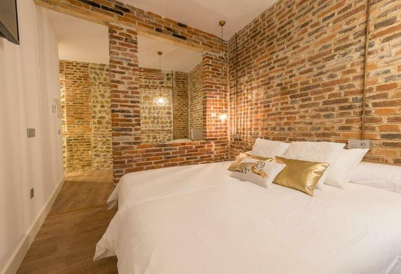 חדר סופריור, Hostal Albany Ancha