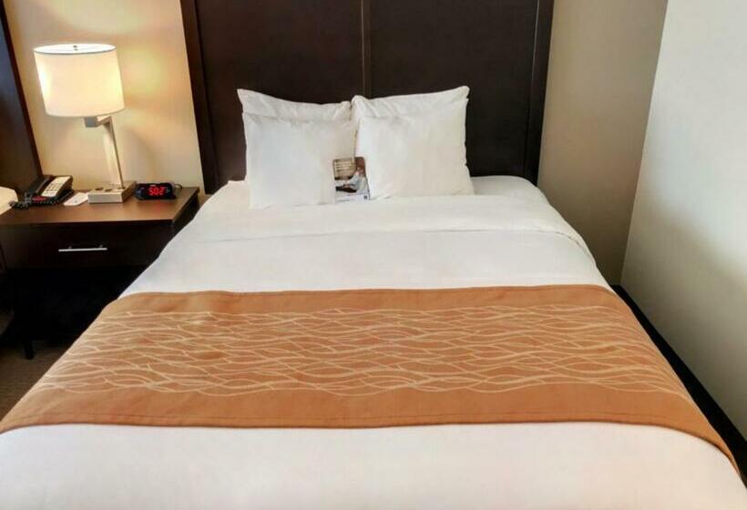 Номер Стандарт, Comfort Inn & Suites