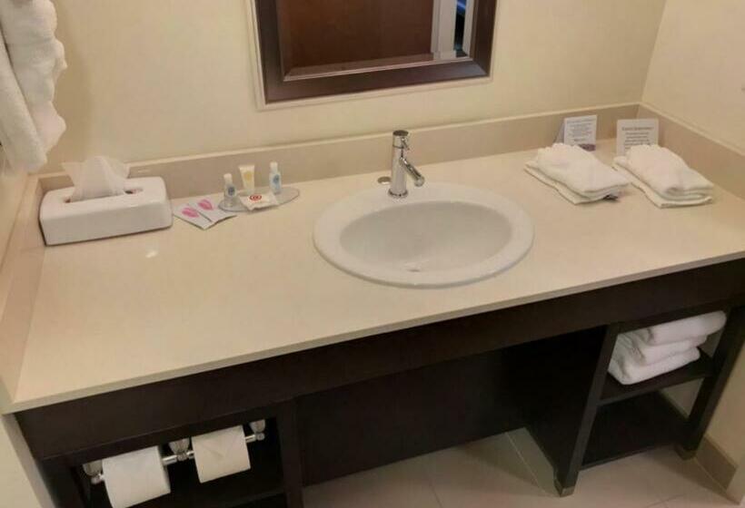 Номер Стандарт, Comfort Inn & Suites