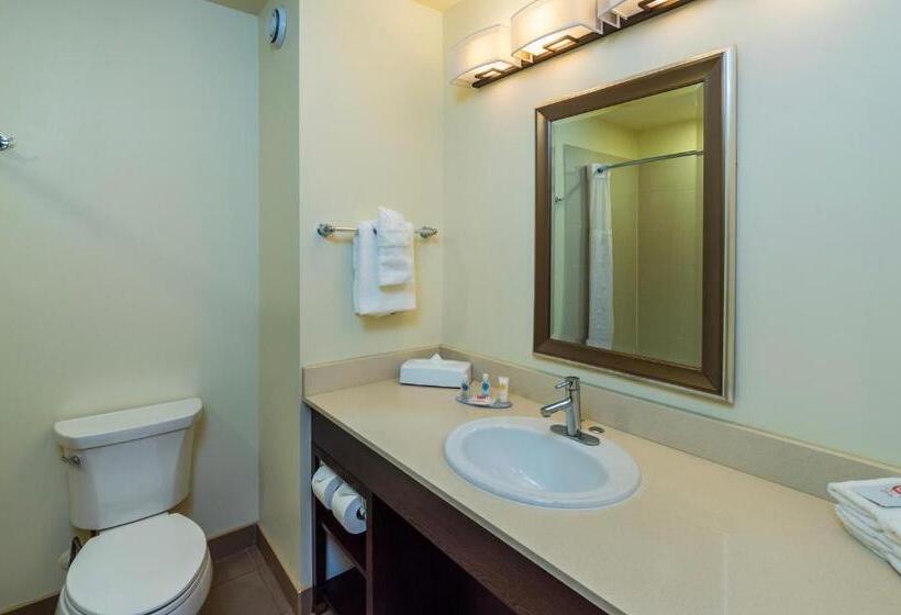 Номер Стандарт, Comfort Inn & Suites