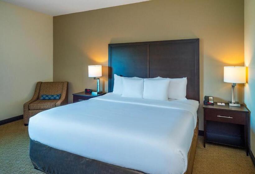 Номер Стандарт Кровать Кинг Адаптированный для Инвалидов, Comfort Inn & Suites