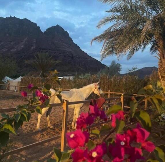 스탠다드 룸, مبيت نسيم الجبل