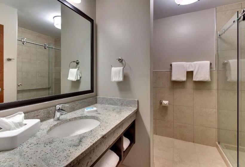 سوئیت با تخت بزرگ, Drury Plaza Hotel Cincinnati Florence