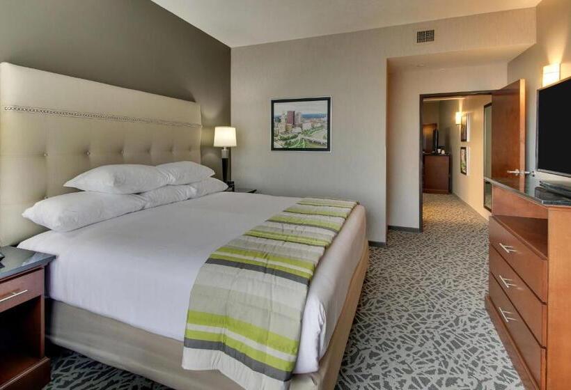 سوئیت با تخت بزرگ, Drury Plaza Hotel Cincinnati Florence