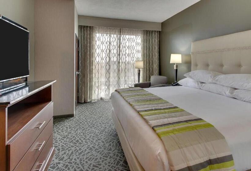 سوئیت با تخت بزرگ, Drury Plaza Hotel Cincinnati Florence