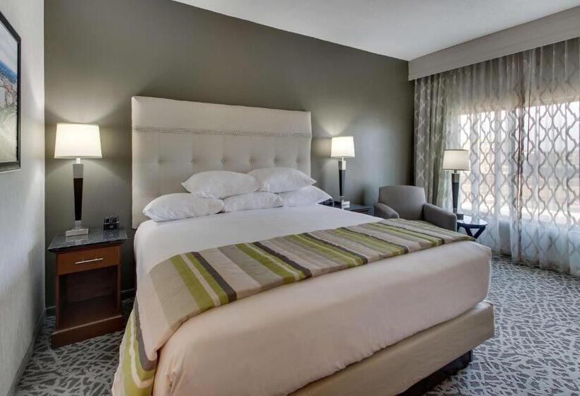 اتاق دلوکس مخصوص معلولین, Drury Plaza Hotel Cincinnati Florence