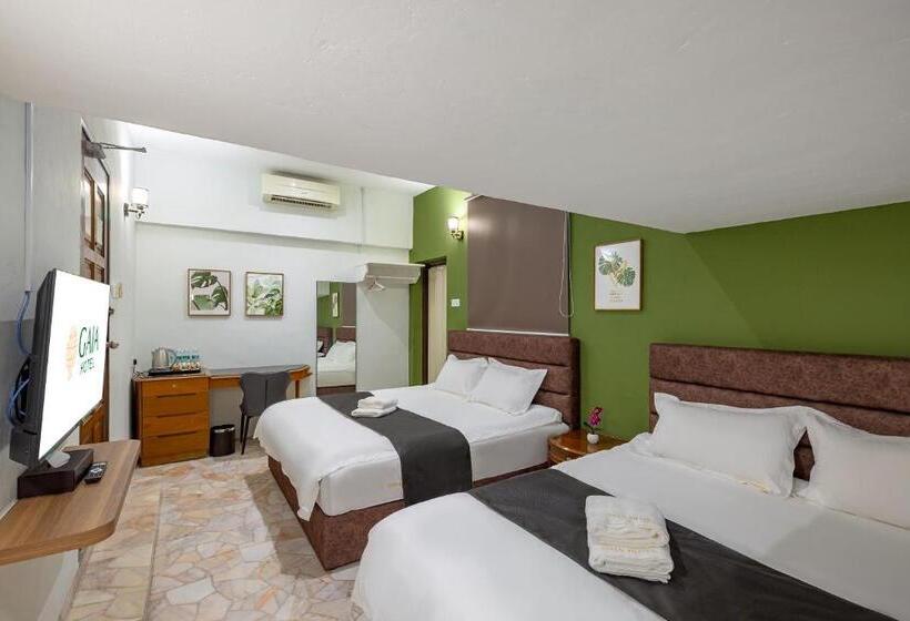 Family Suite, Gaia