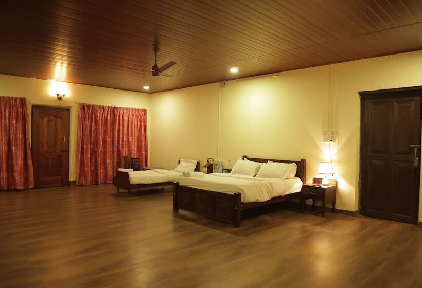 Номер Deluxe, Harris Holiday Inn