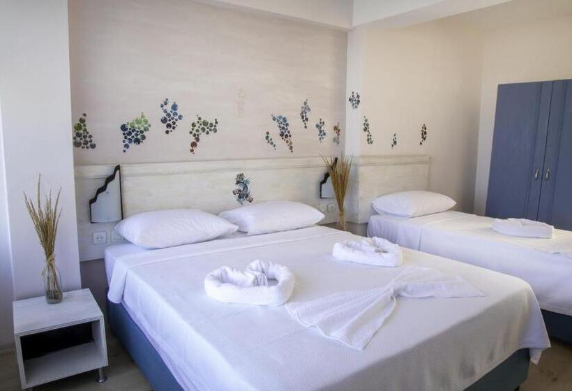 اتاق استاندارد با چشم‌انداز دریا, Pedasos Altinel Otel