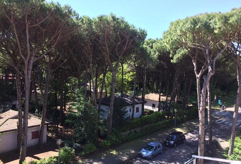标准间带阳台, Milano