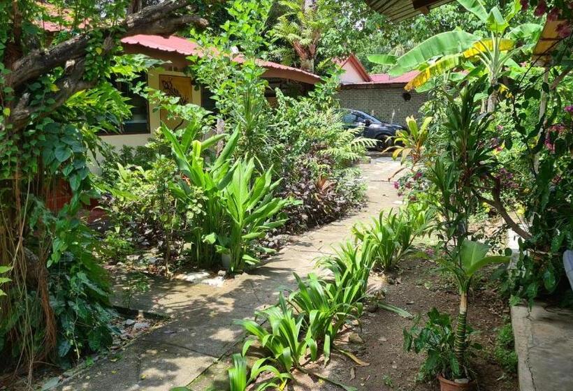 غرفة قياسية حمام مشترك, Gecko Guesthouse