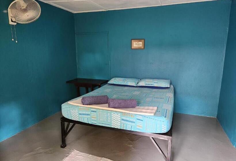اتاق استاندارد با سرویس بهداشتی مشترک, Gecko Guesthouse