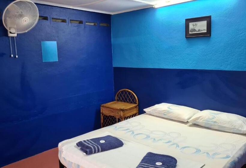 غرفة قياسية حمام مشترك, Gecko Guesthouse
