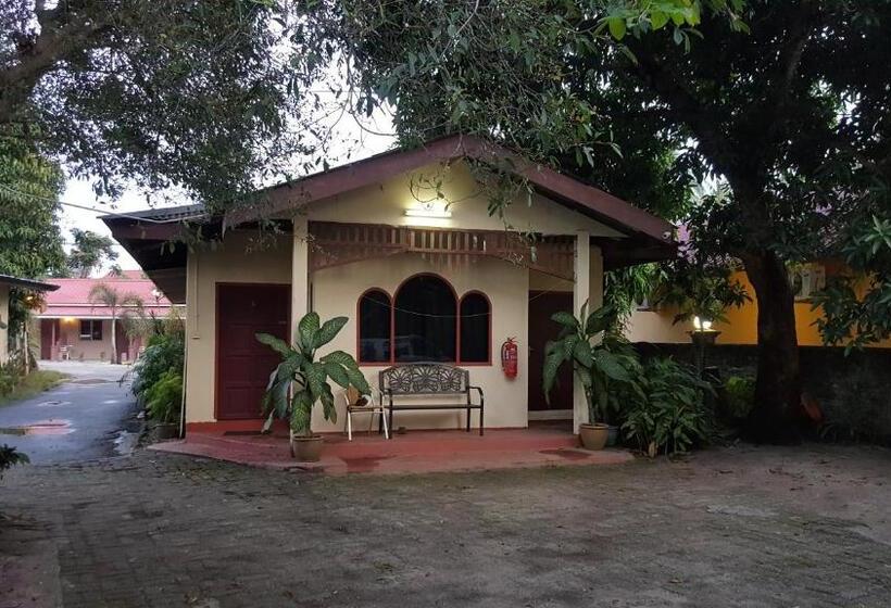اتاق خانوادگی, Gecko Guesthouse