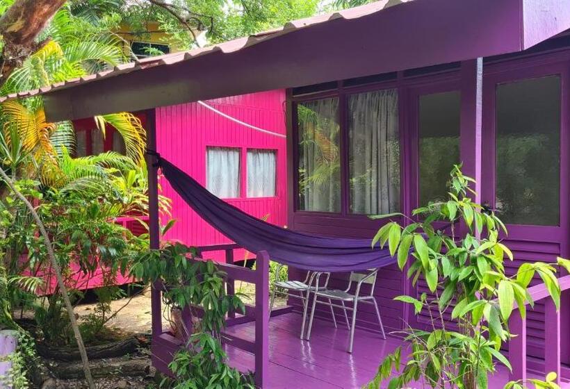 اتاق استاندارد با چشم‌انداز باغ, Gecko Guesthouse