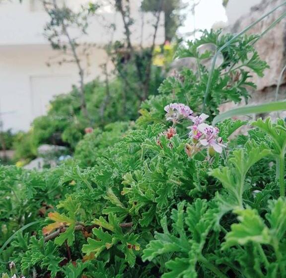 آپارتمان سوپریور 1 خوابه, Penelope S Rooms