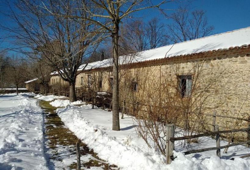 Апартаменты 1 Спальня Вид на Сад, Torre Camigliati Dimora Storica