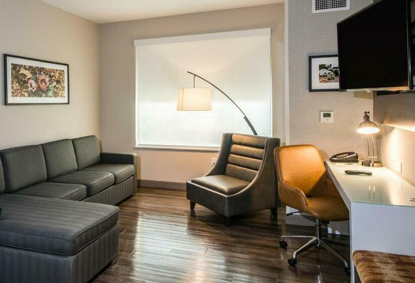 Люкс Superior, Cambria Hotel Mcallen Convention Center