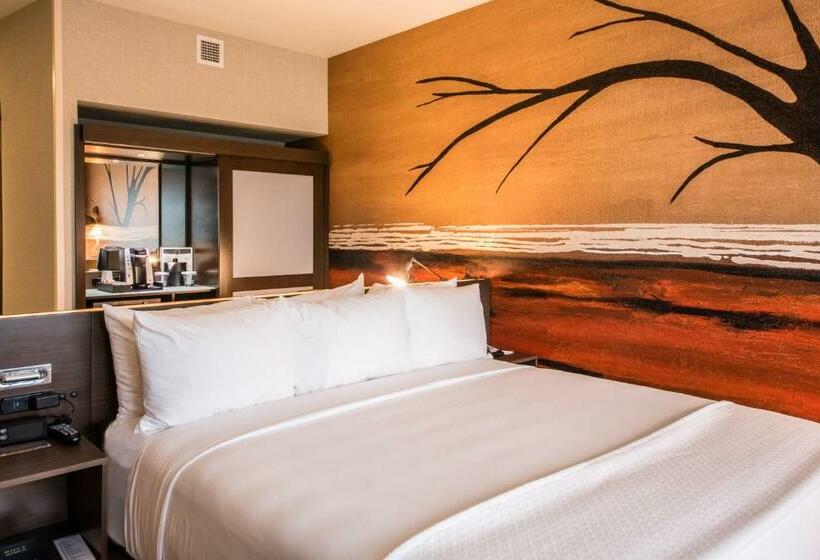 Люкс Адаптированный для Инвалидов, Cambria Hotel Mcallen Convention Center