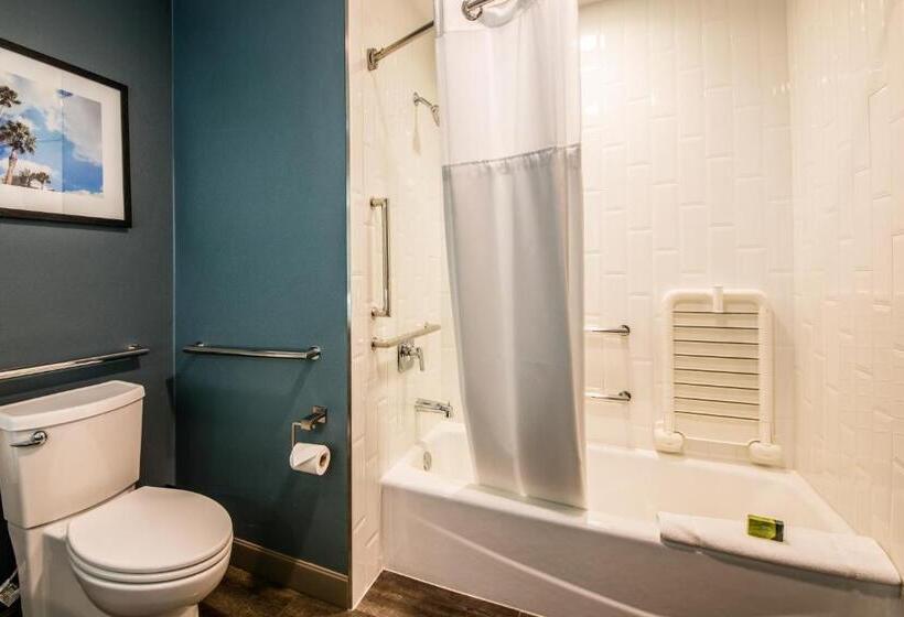 Номер Стандарт Адаптированный для Инвалидов, Cambria Hotel Mcallen Convention Center