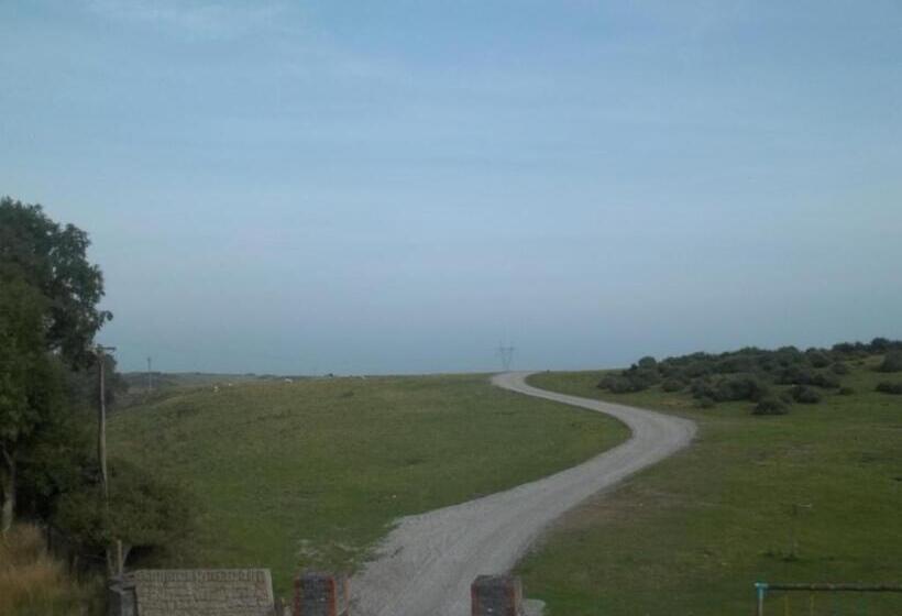 스탠다드 룸 공동 욕실, The Curragh Country House Accommodation