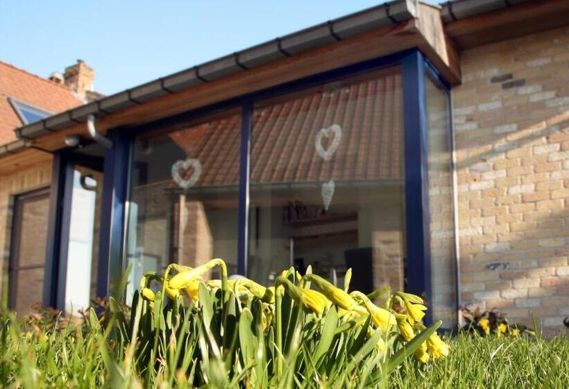 Номер Стандарт, B&b Lievejan