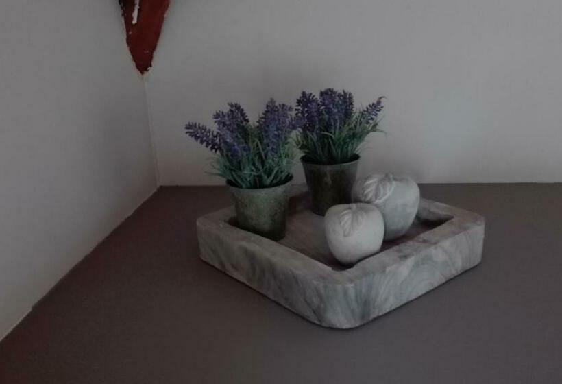 1 Bedroom Penthouse Apartment, Hooghuys