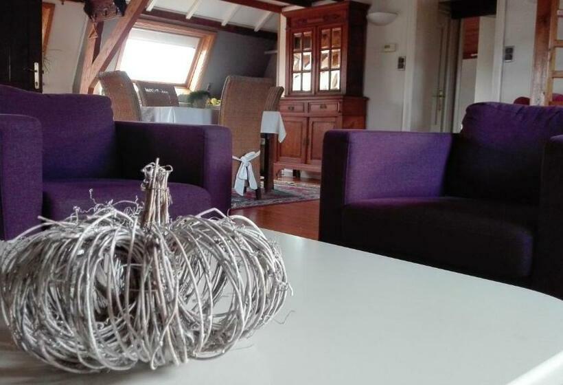 1 Bedroom Penthouse Apartment, Hooghuys